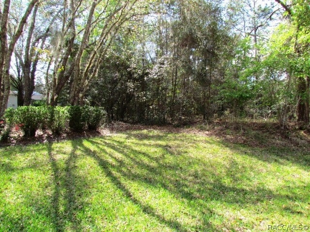 00 SW 93 Lane Rd, Dunnellon, FL 34432 - photo 1