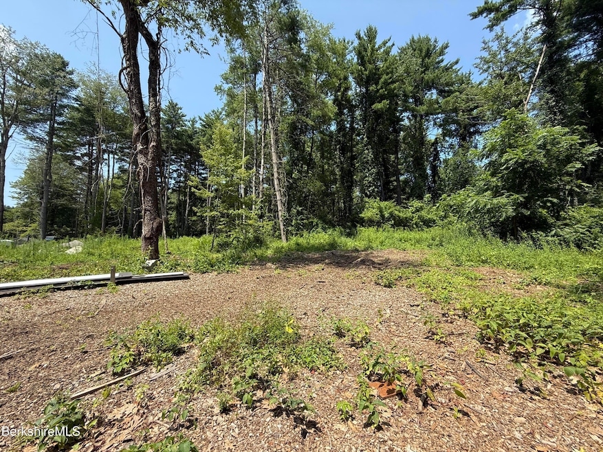 14 McGee Rd, Egremont, MA 01230 - photo 1