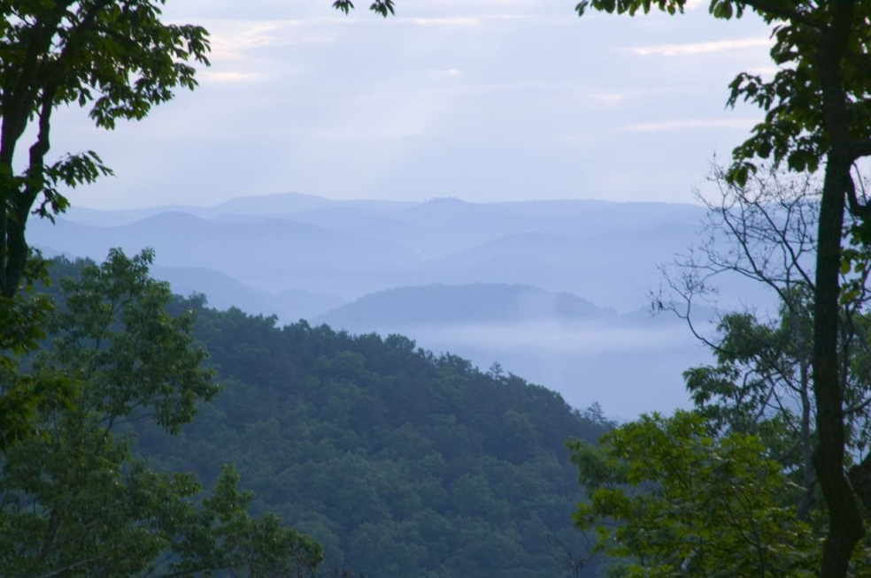 284 Hayes Ridge Unit Gsv 08