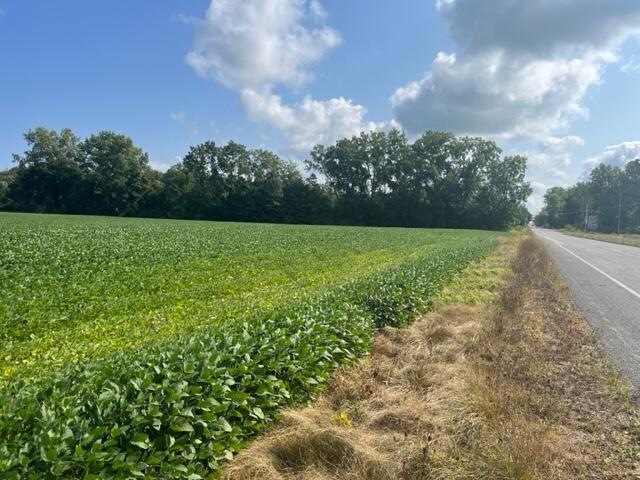 0 Wilson Rd unit B, New Buffalo, MI 49117 - photo 1