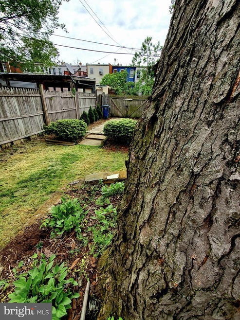 915 4th St NE, Washington, DC 20002 - photo 1