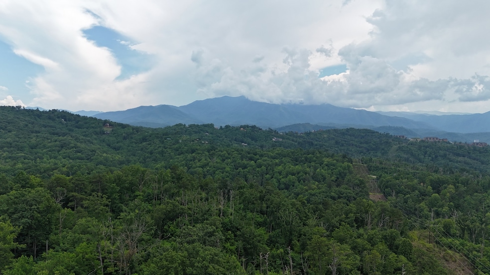 0 S King Branch Rd unit RTC2908148, Sevierville, TN 37876 - photo 1