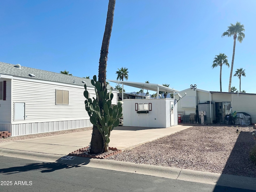 PET SECTION RV LOT