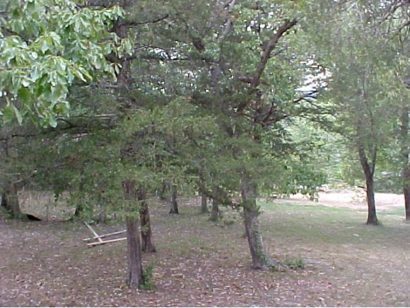 Primary Photo