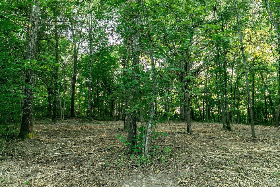 Lot 1 Ph 2 Misty River Subdivision, Nixa, MO 65714 - photo 1