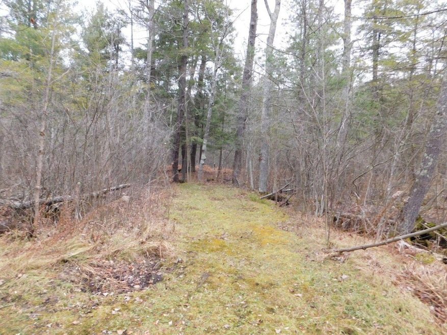 Trail