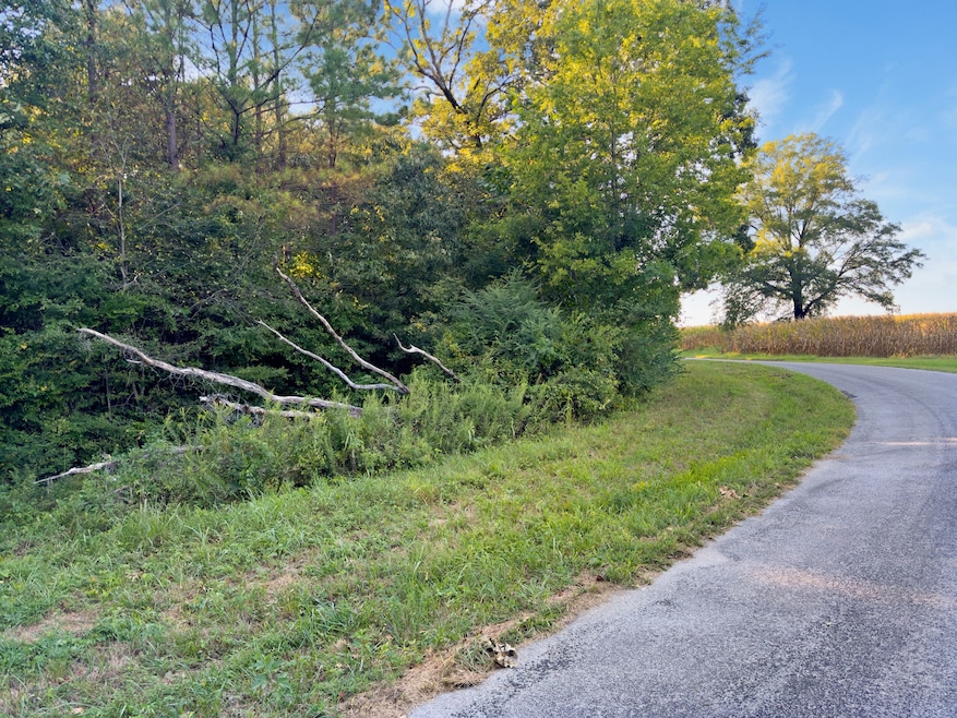 Sold $58,000 • Co-Listing Agent