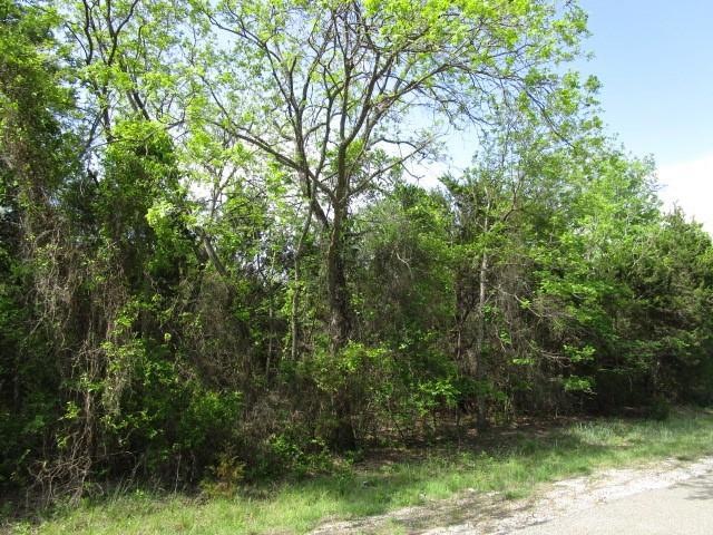 12207 Rolling Oaks Dr, Whitney, TX 76692 - photo 1