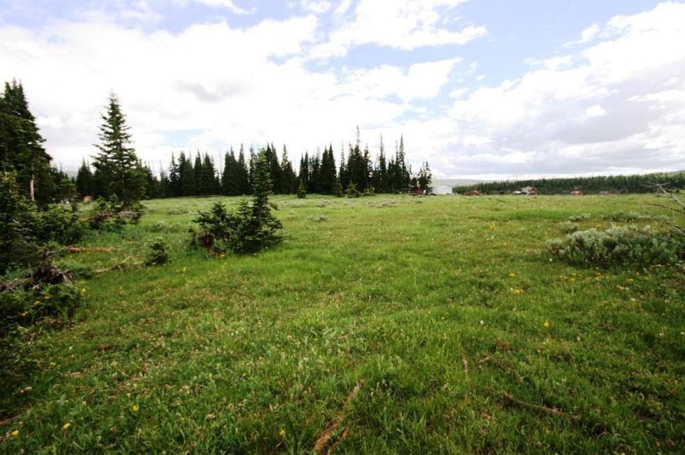 Rainbow Meadows 006