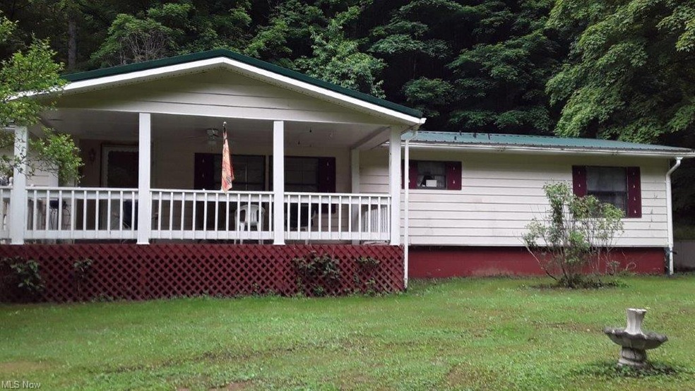 61 Milhoan Rd, Reedy, WV 25270 MLS 4489117