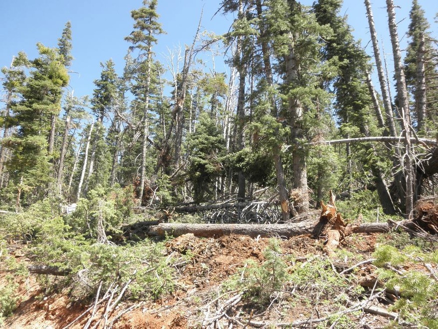 905 W Twisted Trail unit ZVME Un E Lot 113, Duck Creek Village, UT 84762 - photo 1