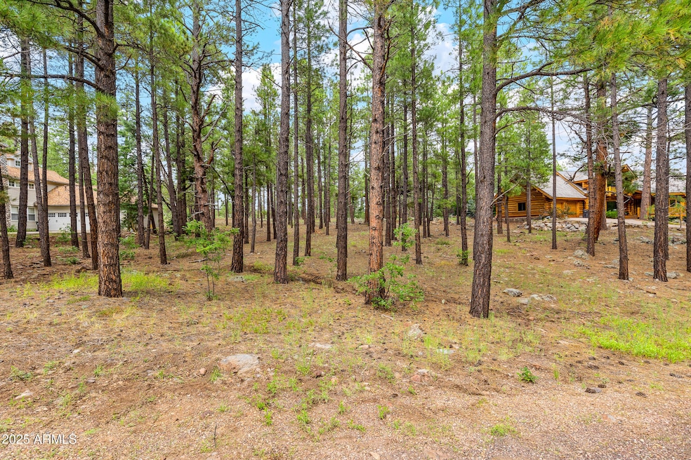 3781 Griffiths Spring unit 451, Flagstaff, AZ 86015 - photo 1