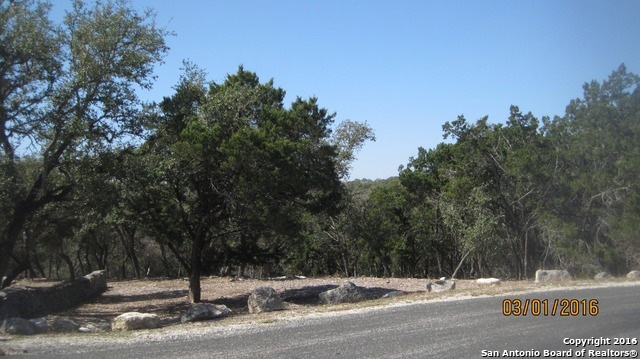 23824 Village Blacksmith, San Antonio, TX 78255 - photo 1
