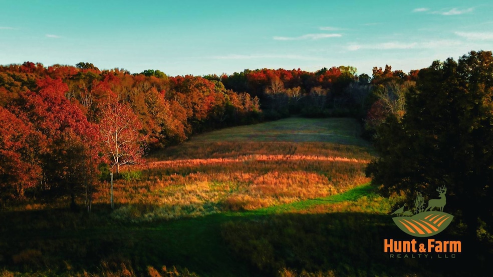 000 Garden of the Gods Rd, Herod, IL 62947 - photo 1