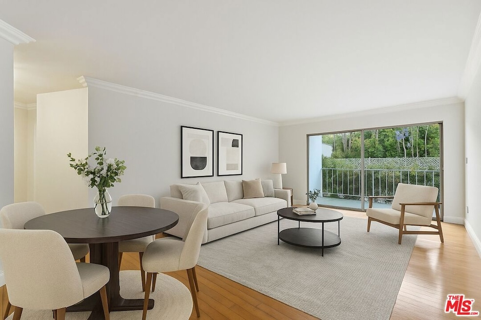 Living Room/Dining Room - Virt