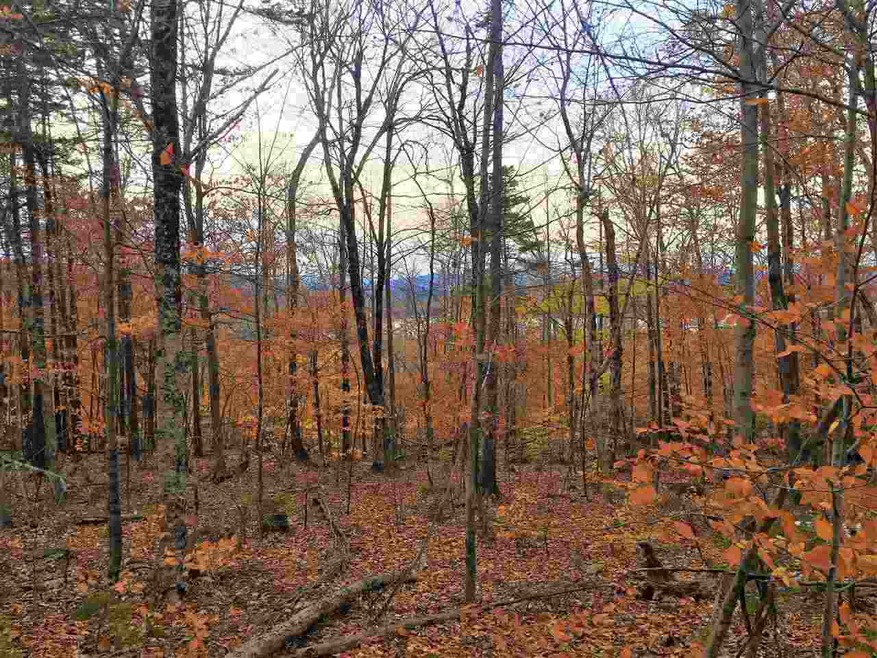 666/100 Rollins Rd, Newbury, NH 03255 - photo 1