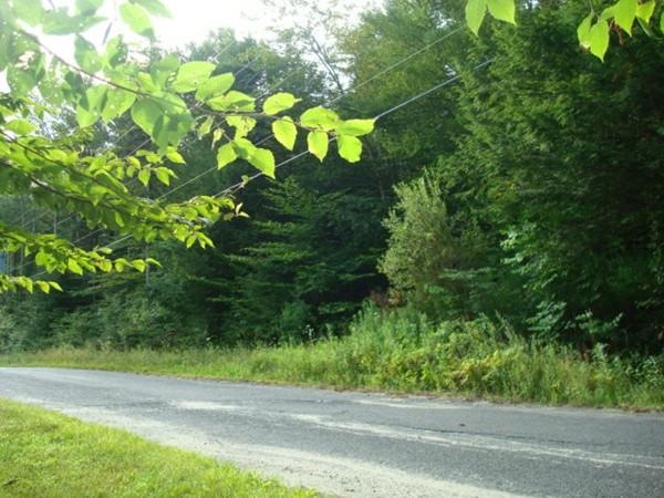 191 Powell Rd, Cummington, MA 01026 - photo 1