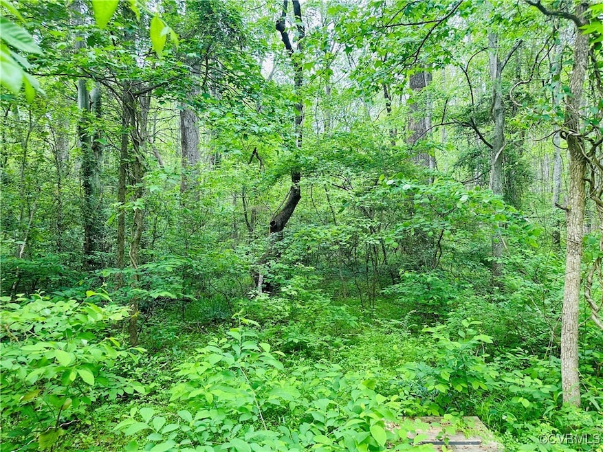 View of wooded area