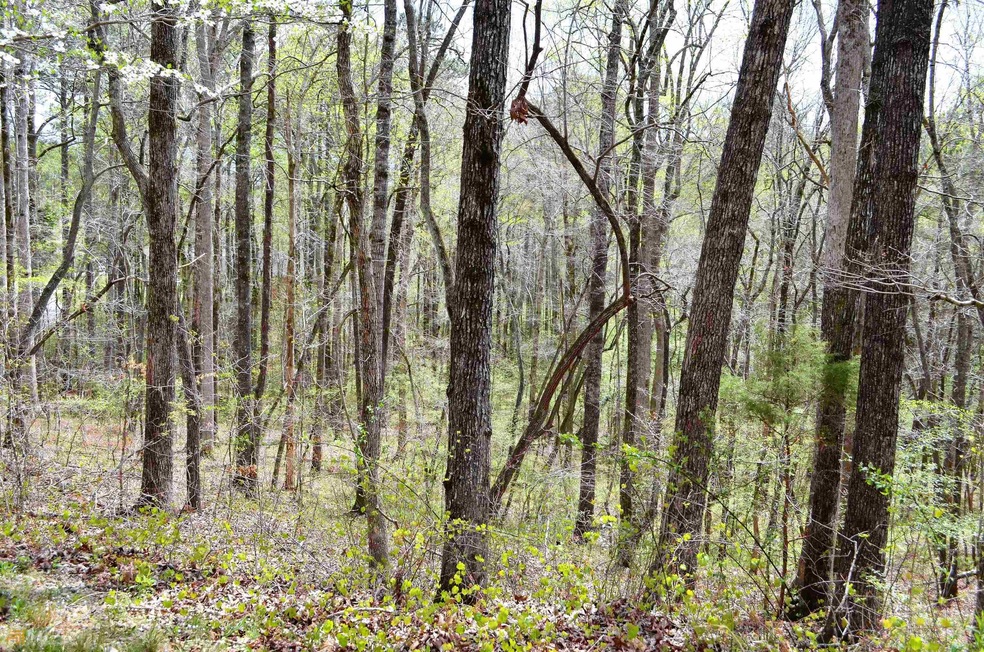 6054 Pineknoll Ct, Villa Rica, GA 30180 - photo 1