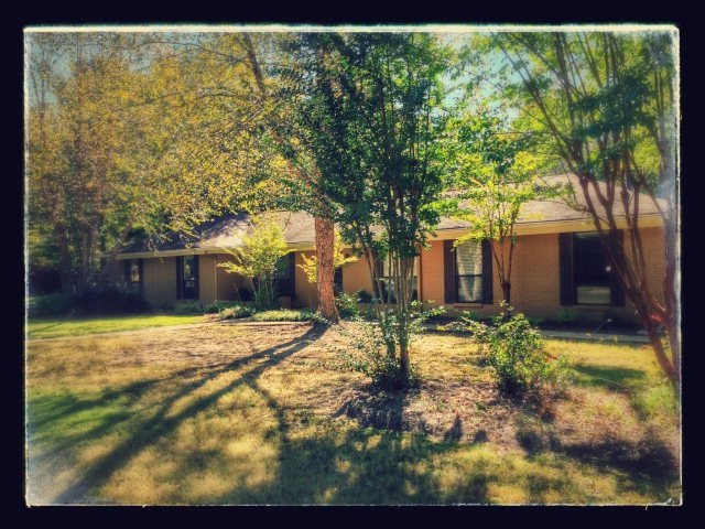 204 Dogwood Dr, Oxford, MS 38655 - photo 1