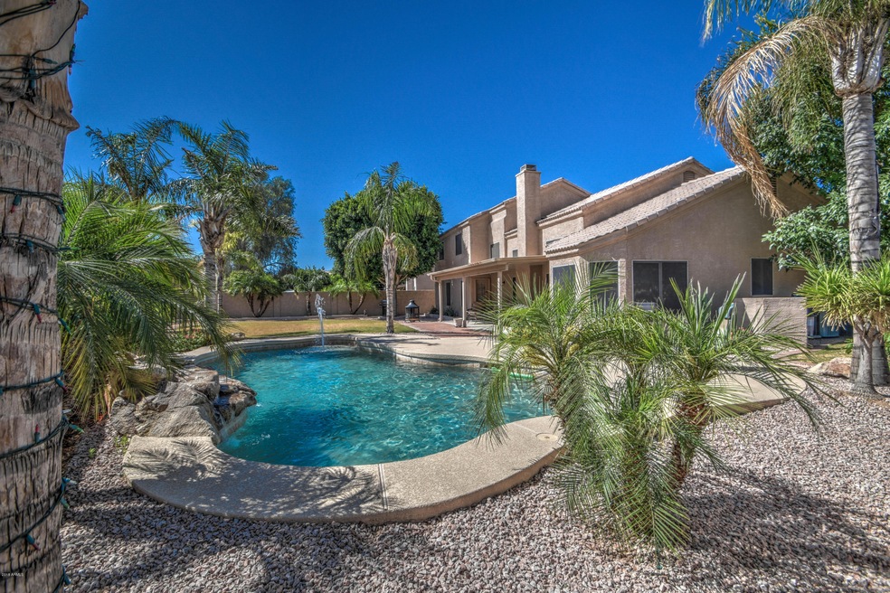 Sparkling pool & large yard