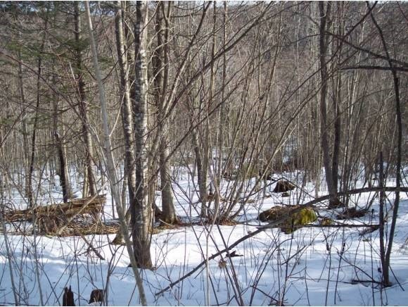 0 Boudreau unit 4141224, Stewartstown, NH 03576 - photo 1