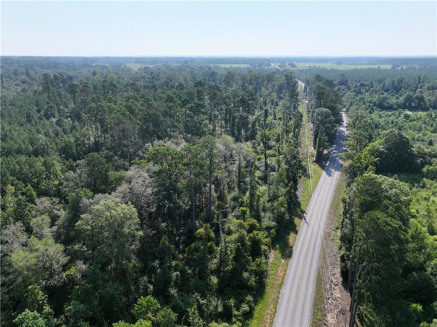 0 Louisiana 1045, Amite, LA 70422 - photo 1