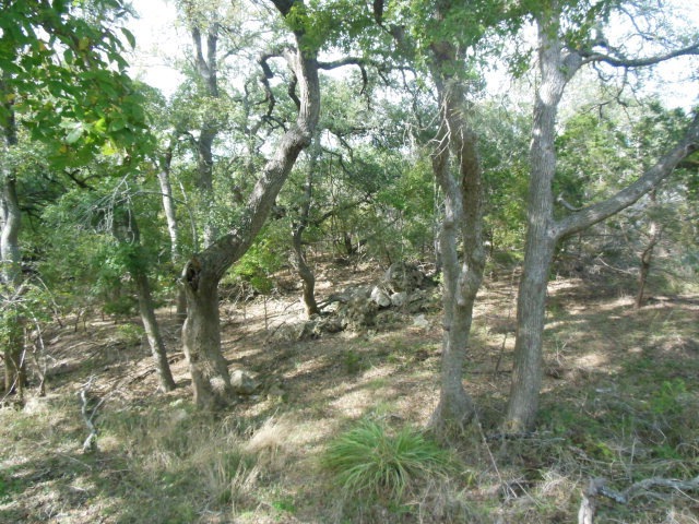 8300 Ranch Rd, San Marcos, TX 78666 - photo 1