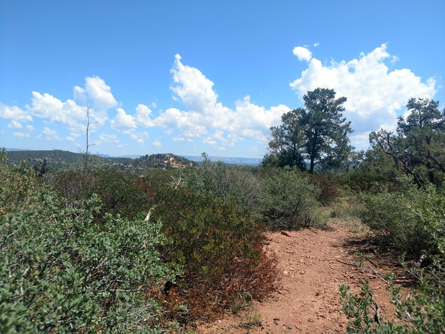 looking North