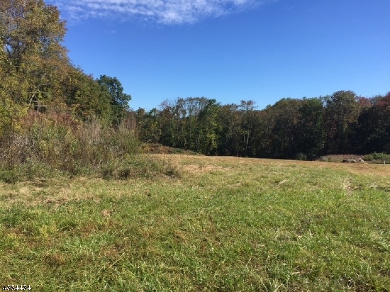 7 Potter Ln, Lebanon, NJ 08833 - photo 1