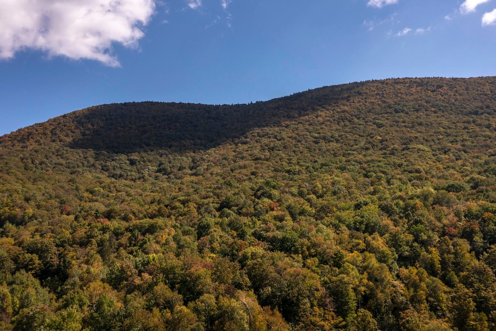 0 Tower Rd unit 28, Dorset, VT 05251 - photo 1