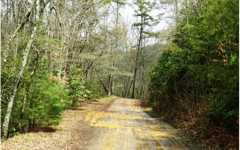 LOT 6 Clay Cir, Morganton, GA 30560 - photo 1