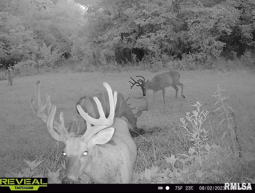 000 County Highway 7 County Rd, Cisne, IL 62823 - photo 1