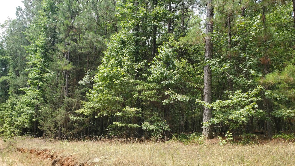 Lot/land