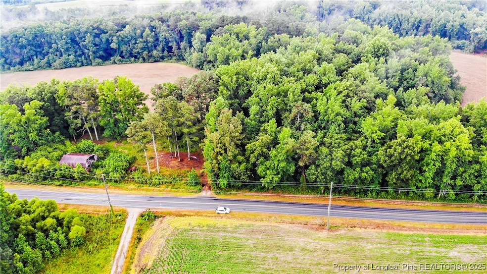 1896 & 0 Clark Rd, Lillington, NC 27546 - photo 1