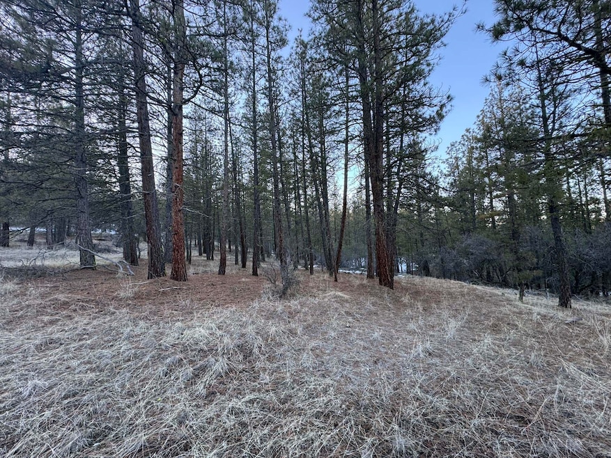 1.85 Acres Bobcat Circle Beatty, Oregon