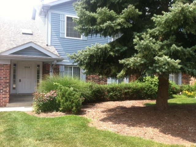 1514 Commodore Ln unit 3, Schaumburg, IL 60193 - photo 1