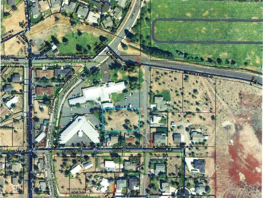 Primary Photo