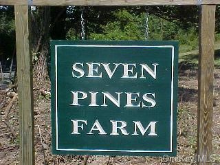 6 Norton Rd, Red Hook, NY 12571 - photo 1