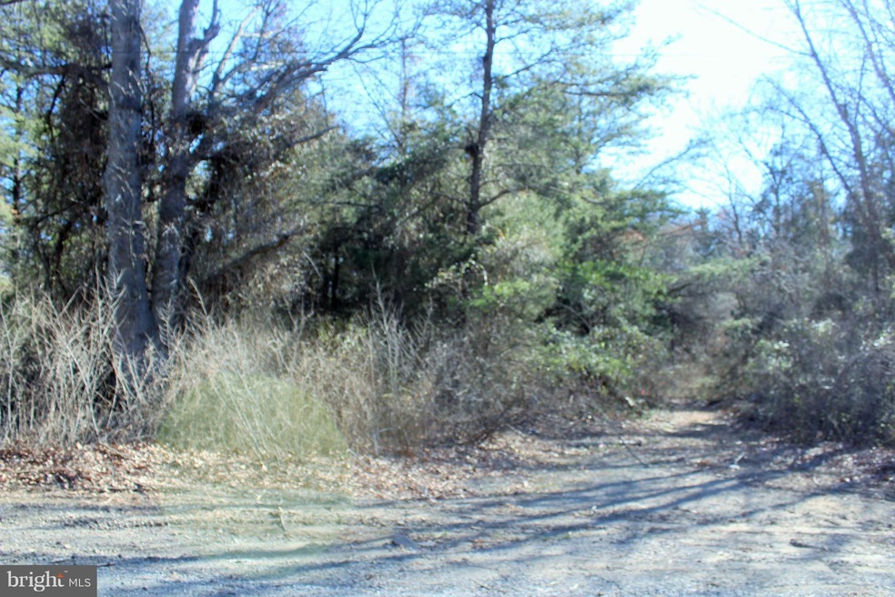 5721 Turner Rd, Broad Run, VA 20137 - photo 1