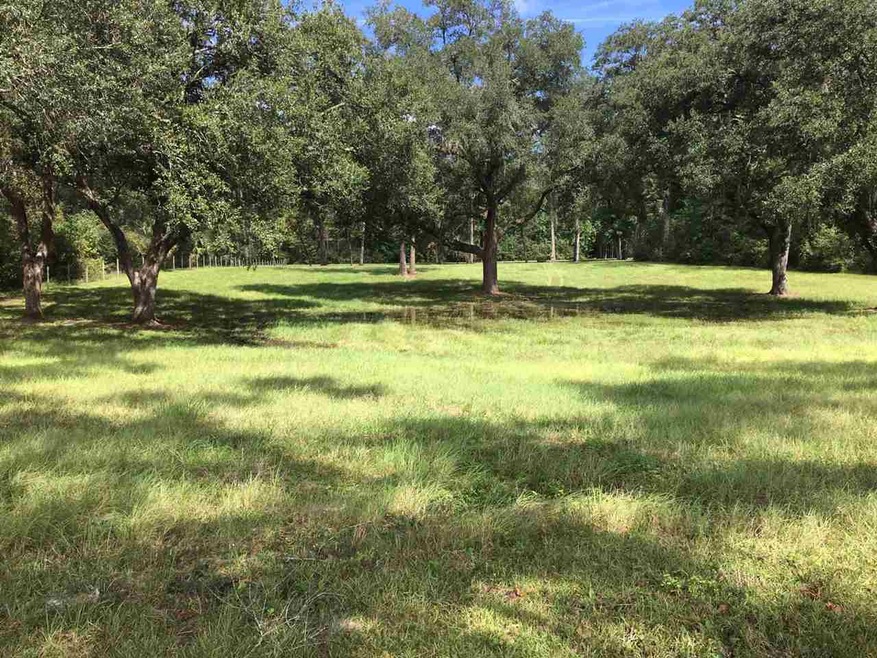 000 Emerald Acres Dr, Crawfordville, FL 32327 - photo 1