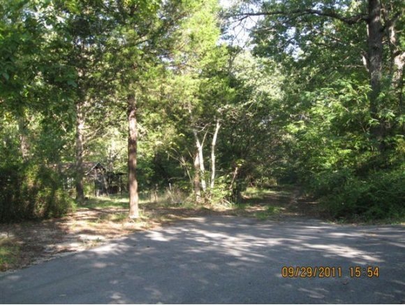 0 Old Stone School Rd, Ruth B Rural Township, MO 65686 - photo 1