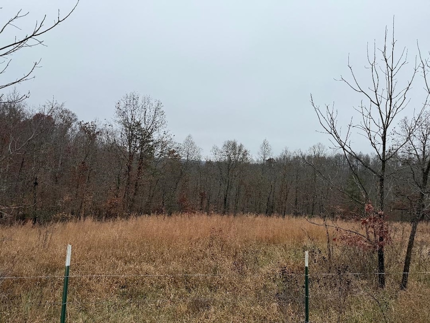 699 Wolf Rd, Upper Tygart, KY 41164 - photo 1