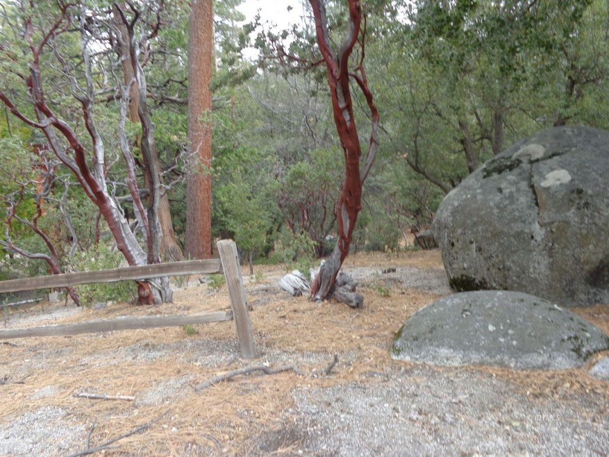 Cedar Glen