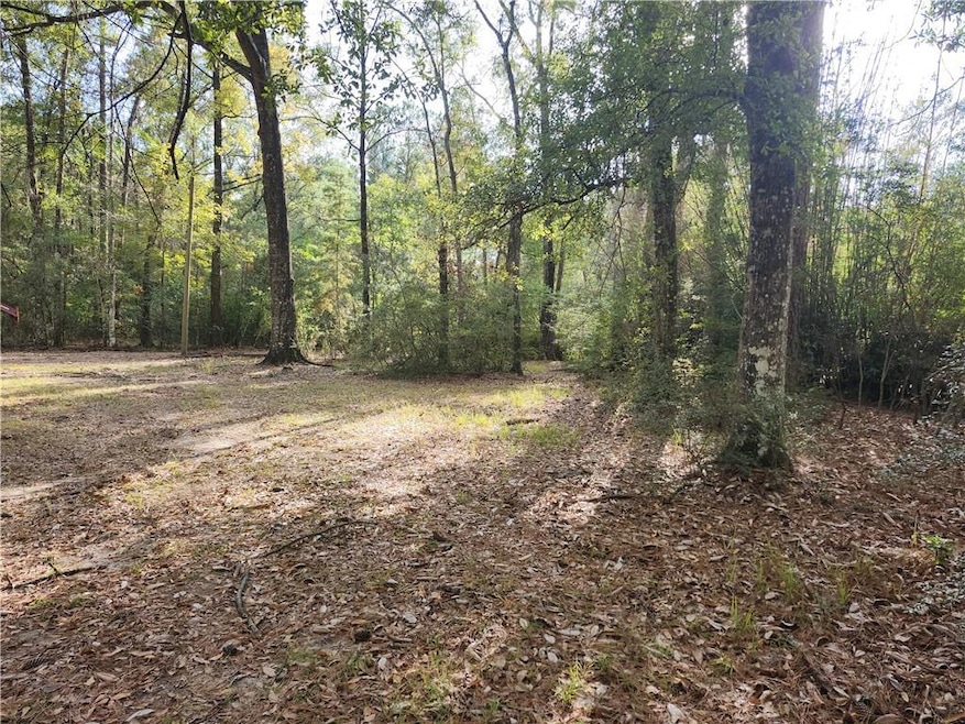 73414 River Rd, Covington, LA 70435 - photo 1