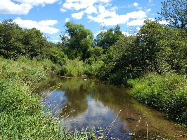 317 Cummings Rd, Pulaski, NY 13142 - photo 1