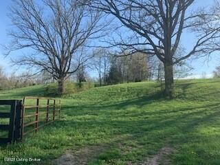 0000 Fallen Timber - front (FSBO)