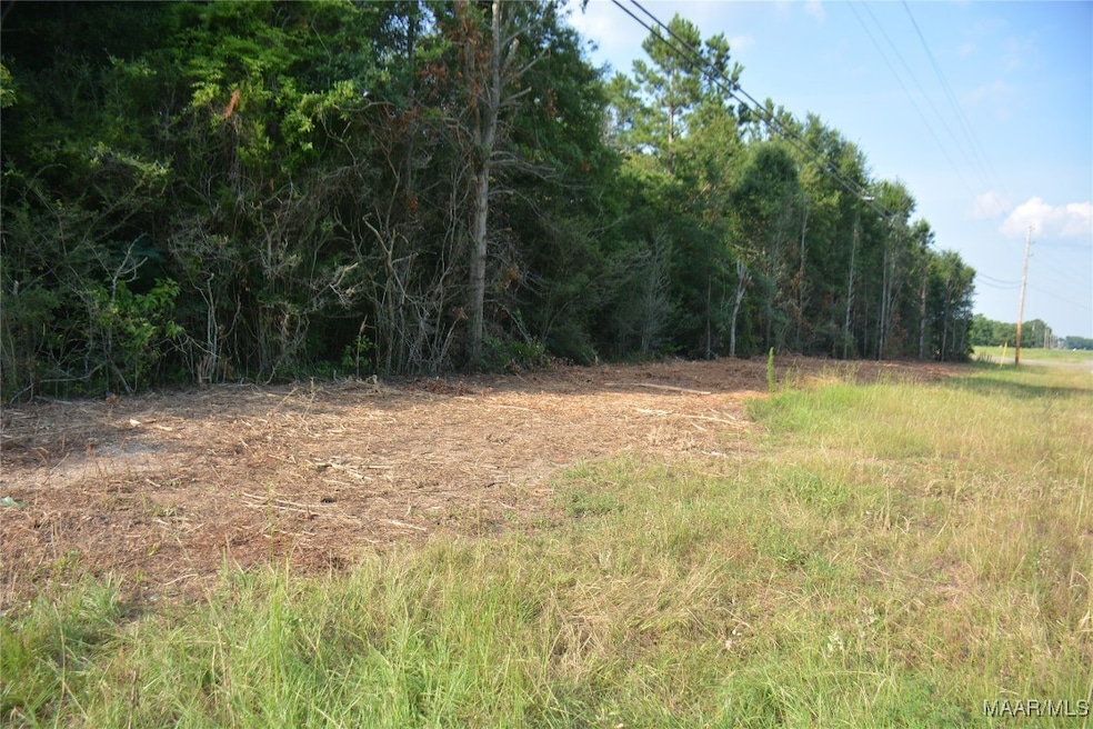 22877 Highway 84, Elba, AL 36323 - photo 1