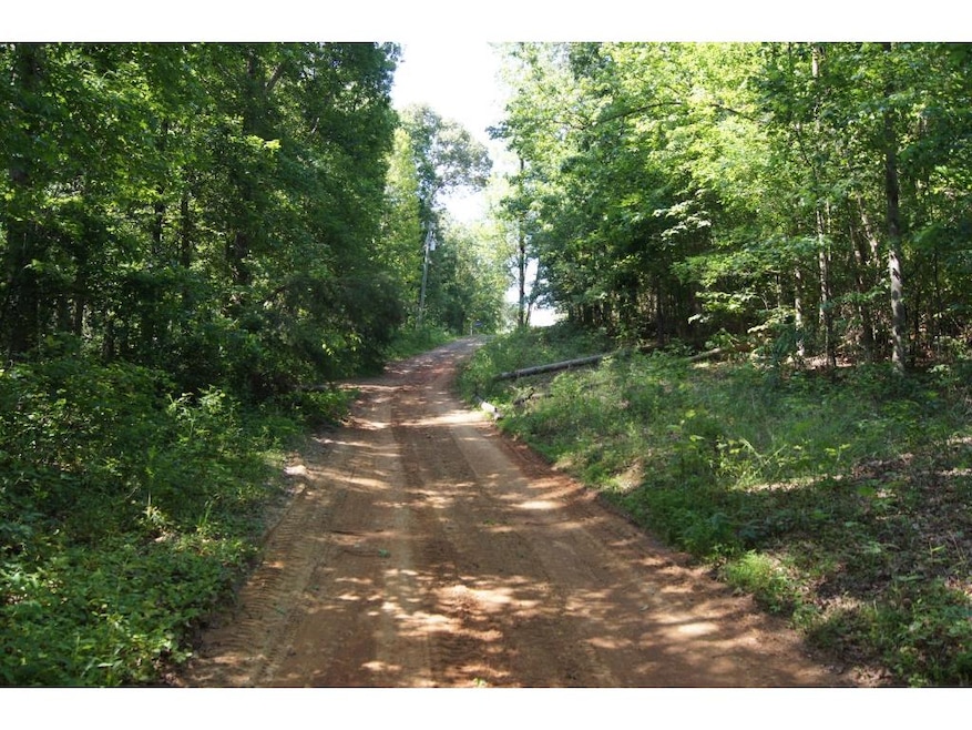 This 9.3 acre tract is tucked away just off this g