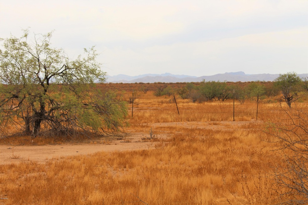View from Back of Property